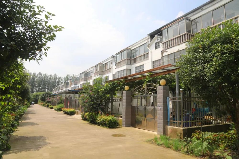 【乡村振兴】晒晒咱村的新变化:夏邑县郭店镇王刘庄