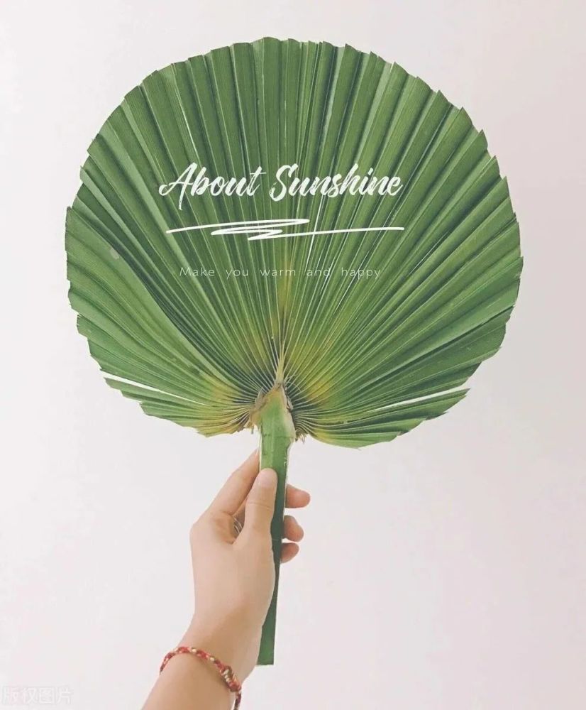 小孩|从百岁父亲的芭蕉扇说起