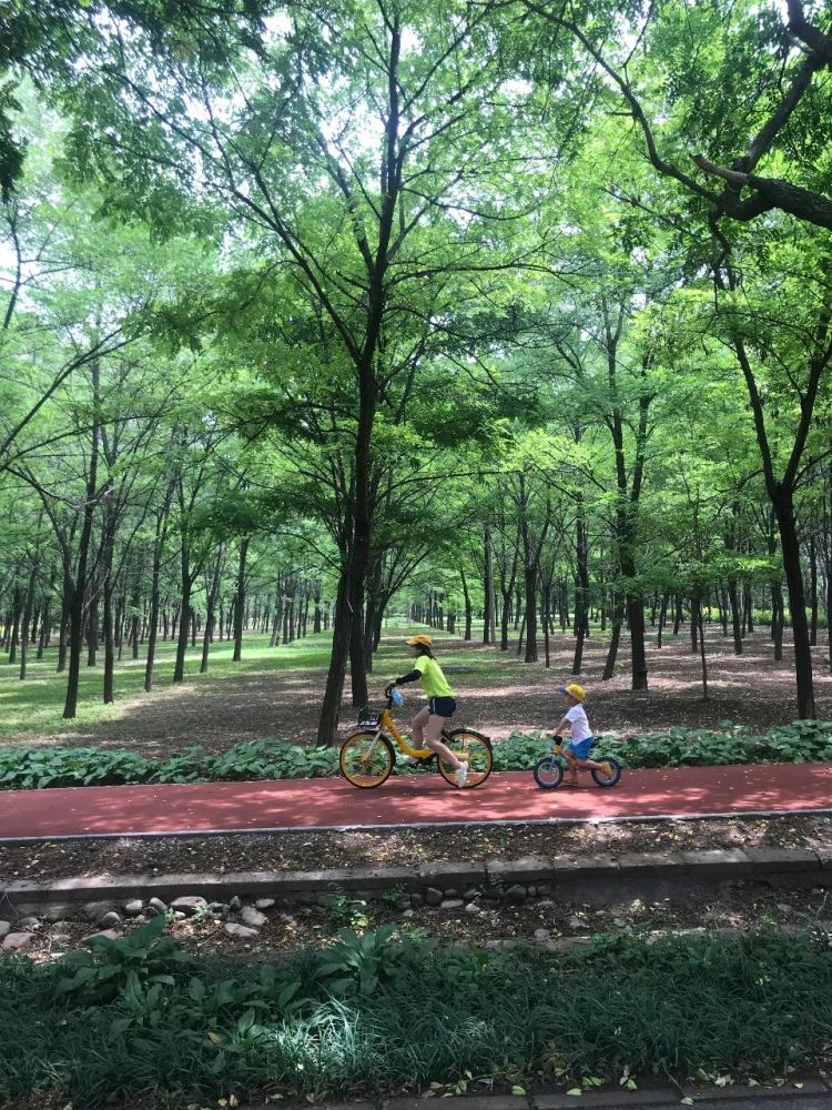 東壩郊野公園變了