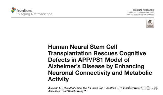 神经干细胞移植|人类神经干细胞移植可改善AD认知缺陷