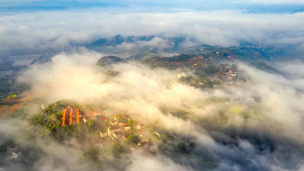 刘禅|5种取舍，决定人生格局