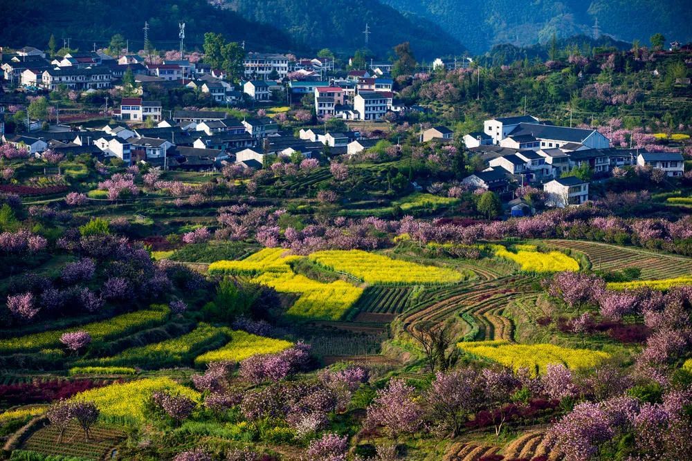 刘禅|5种取舍，决定人生格局
