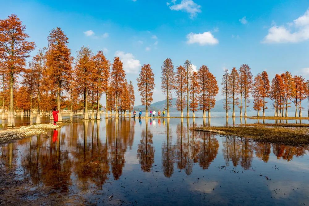 刘禅|5种取舍，决定人生格局