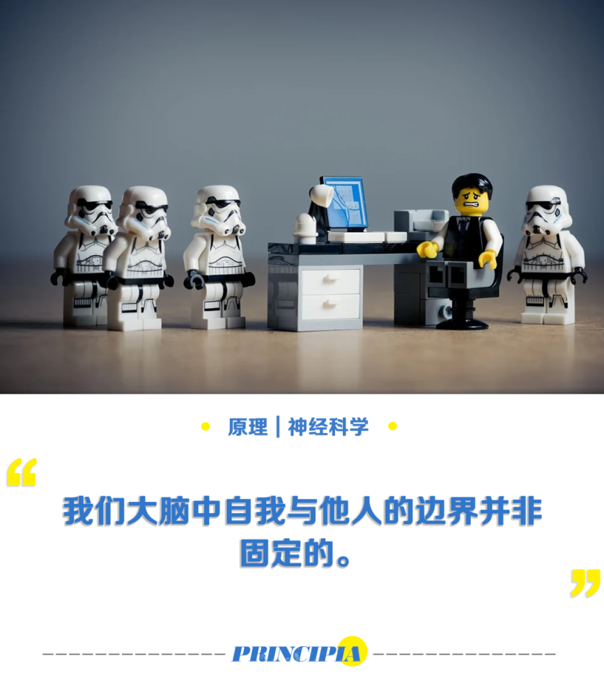 大脑|大脑如何区分自我与他人？