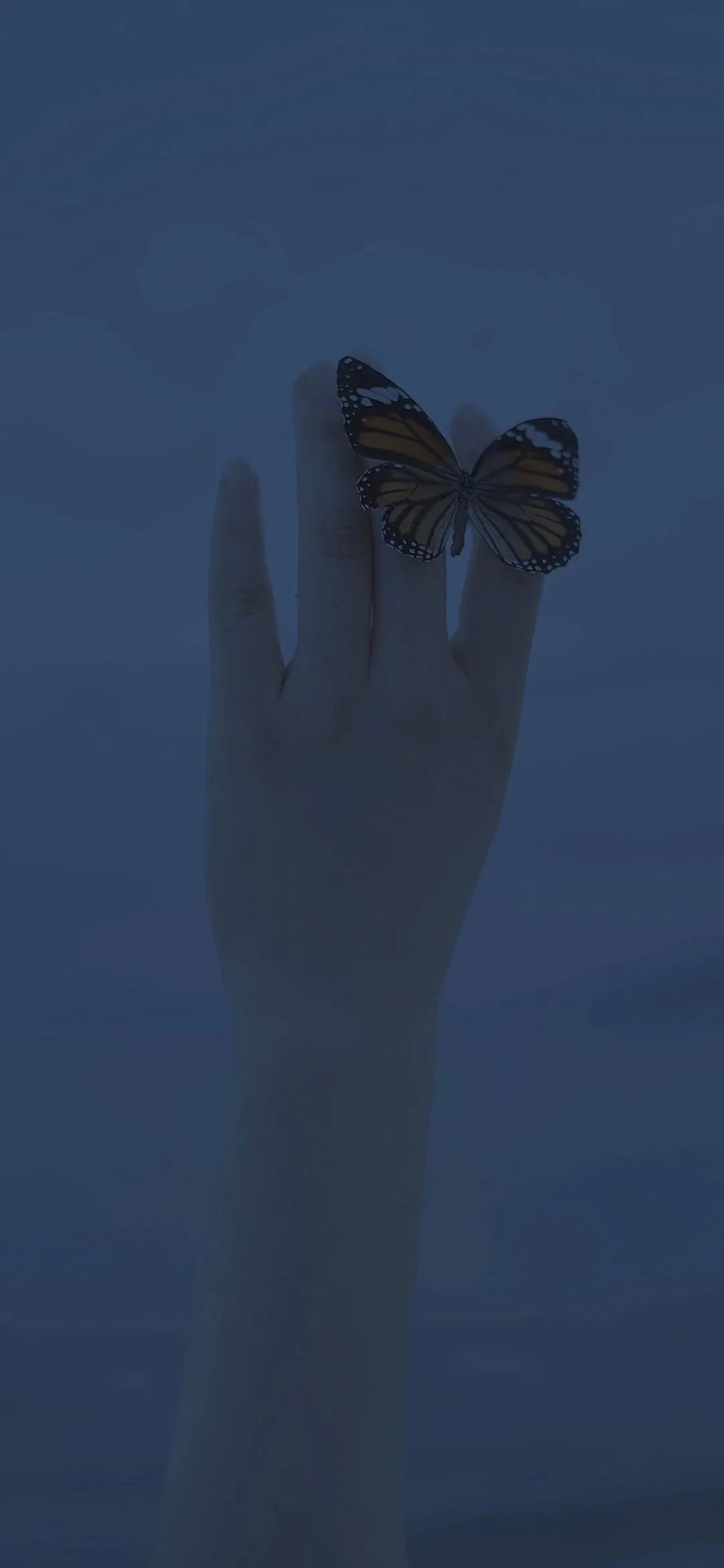 壁纸|周末刷个存在感