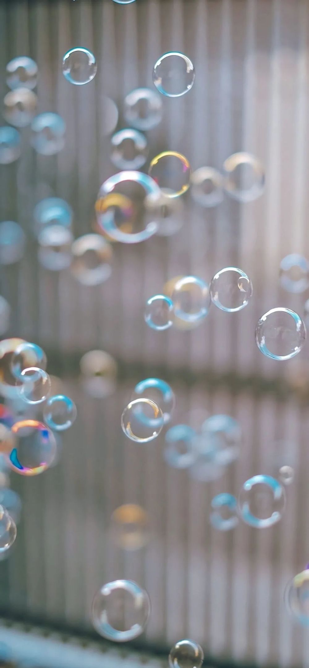 壁纸|周末刷个存在感