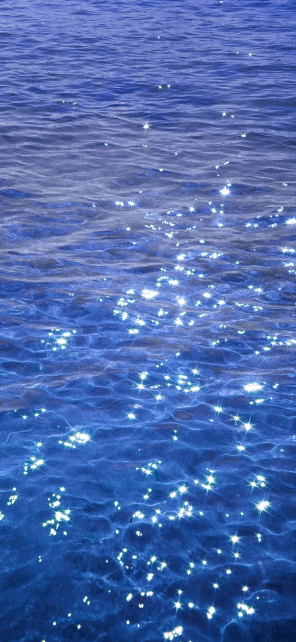 壁纸|周末刷个存在感