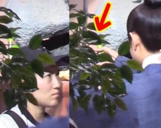 罗晋|罗晋与唐嫣婚变？罗晋和助理状态暧昧，挽手摸头，走张丹峰老路？