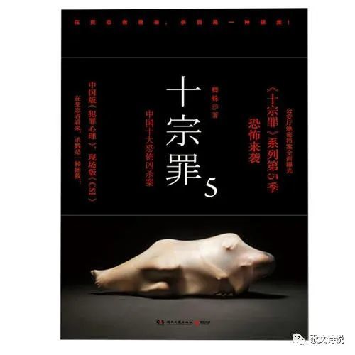 《十宗罪5》揭秘那些不可思议的犯罪