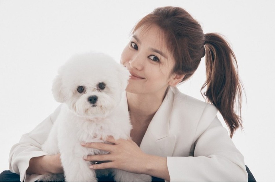 宋慧乔|宋慧乔近照曝光，怀抱宠物对镜大笑，却被指鱼尾纹明显脸部僵硬