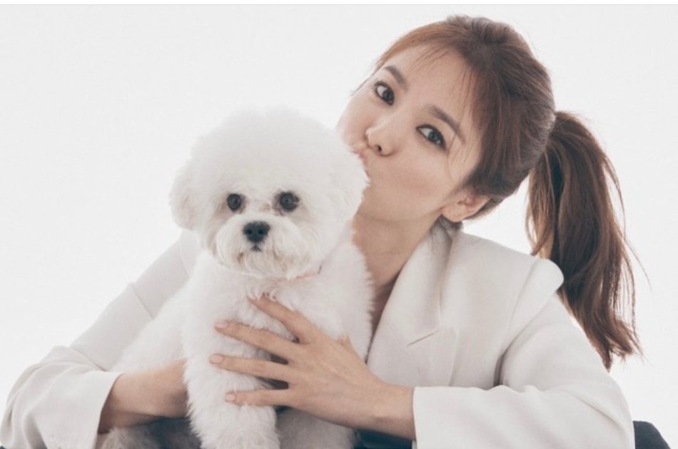 宋慧乔|宋慧乔近照曝光，怀抱宠物对镜大笑，却被指鱼尾纹明显脸部僵硬