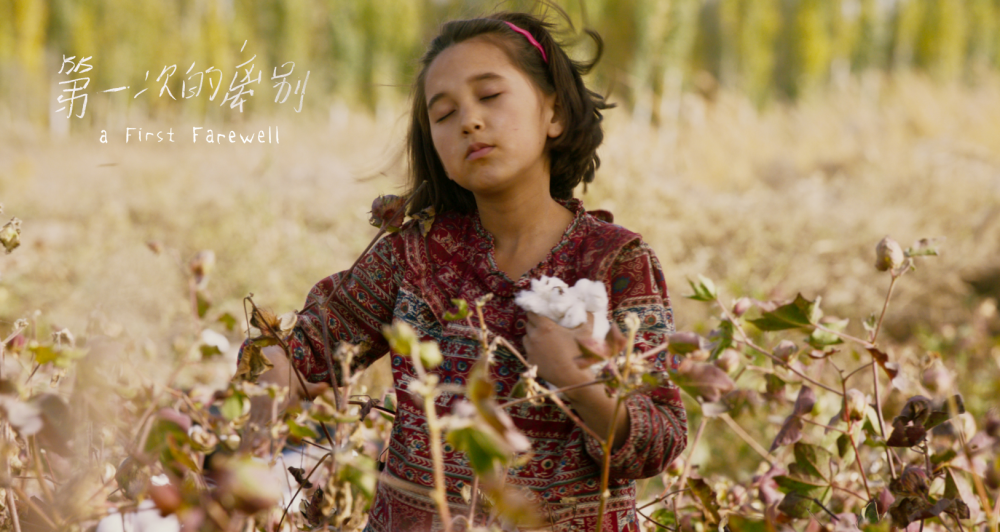 吴京|复工首日22部电影抢着上映，吴京星爷来了，这部小成本片是重头戏