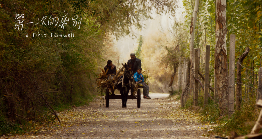 吴京|复工首日22部电影抢着上映，吴京星爷来了，这部小成本片是重头戏