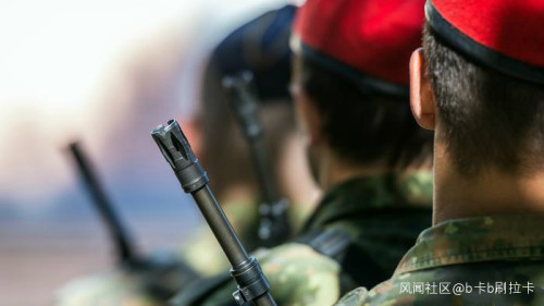 德国国防部|超10万发子弹不知所踪，德国防部：展开调查