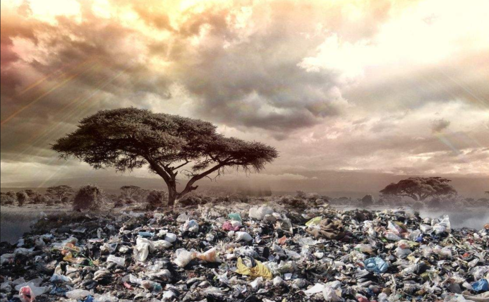 甲烷|排放量上升9％！甲烷恐成气候引爆点，人类文明延续或只能移居