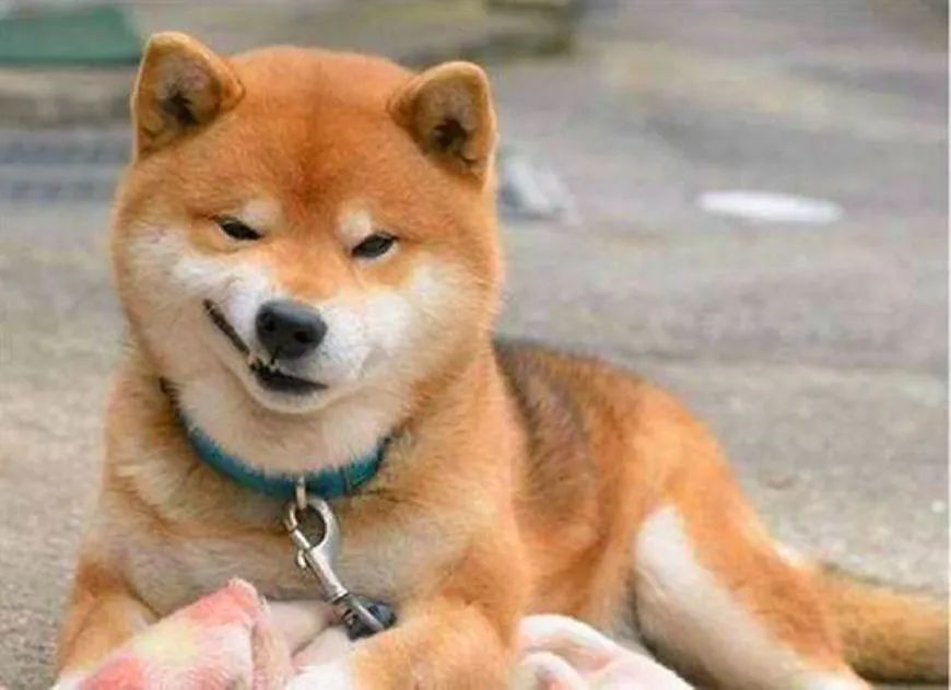 墓穴|巴黎地下公墓，十大让你背后一凉的事实