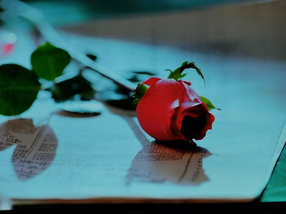 局中人|局中人：悲剧大结局令人泪目，剧情拖沓，主配角强行下线引人不满