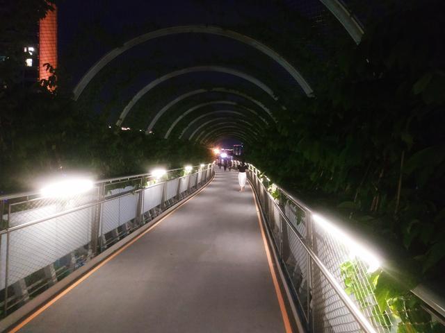 厦门又双叕一网红景点 全长23公里贯穿东西全岛 一天能走完吗 腾讯新闻