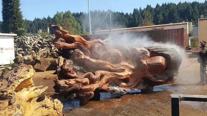 木雕|太帅了！从一根木头到4米长的巨型章鱼木雕，创作过程曝光