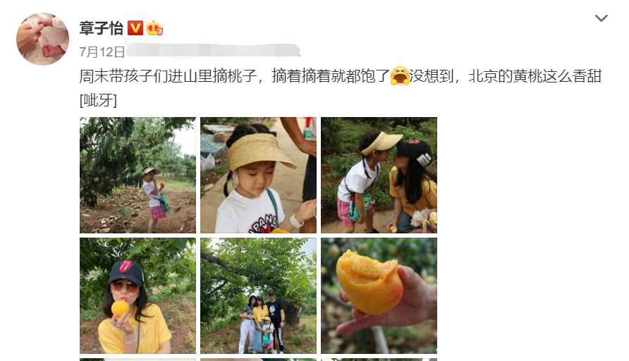 汪峰|汪峰骑三轮车翻车，章子怡一点不心疼留言太搞笑