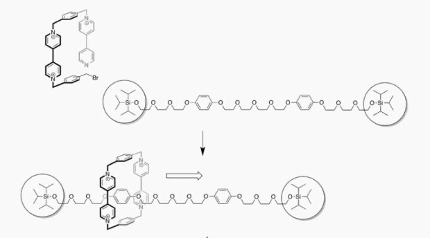 j·弗雷泽·斯托达特|诺奖得主斯托达特：有发明创造的顶尖科学家为何难养成？