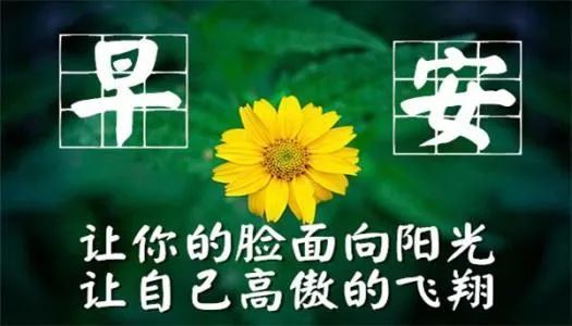 最暖心的早安問候朋友句子精選最新早上好祝福表情圖片