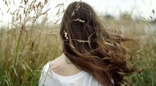 苹果|苹果.诗人.爱情