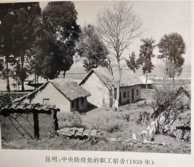 汤飞凡|第一代病毒学家汤飞凡：研制数十种疫苗，以身试毒，挽救数亿国人