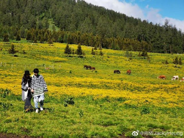 向佐|向佐生日晒与郭碧婷亲密合影，表白并安慰妻子：会尽其所能尽快到你身边