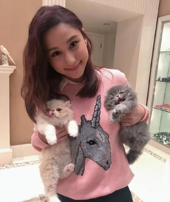 何超莲|何超莲忙赌王丧事，旗下面馆半年亏损200万，却坚持不炒员工！