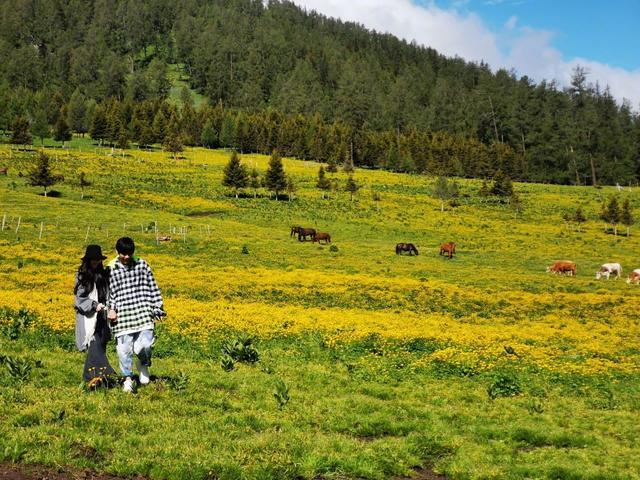 郭碧婷|郭碧婷凌晨3点半为向佐庆生，破不和传闻，向佐承诺会尽快回到她身边