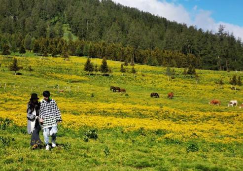 郭碧婷|向佐生日许诺妻子：我会尽快接你到身边！郭碧婷回应很暖心