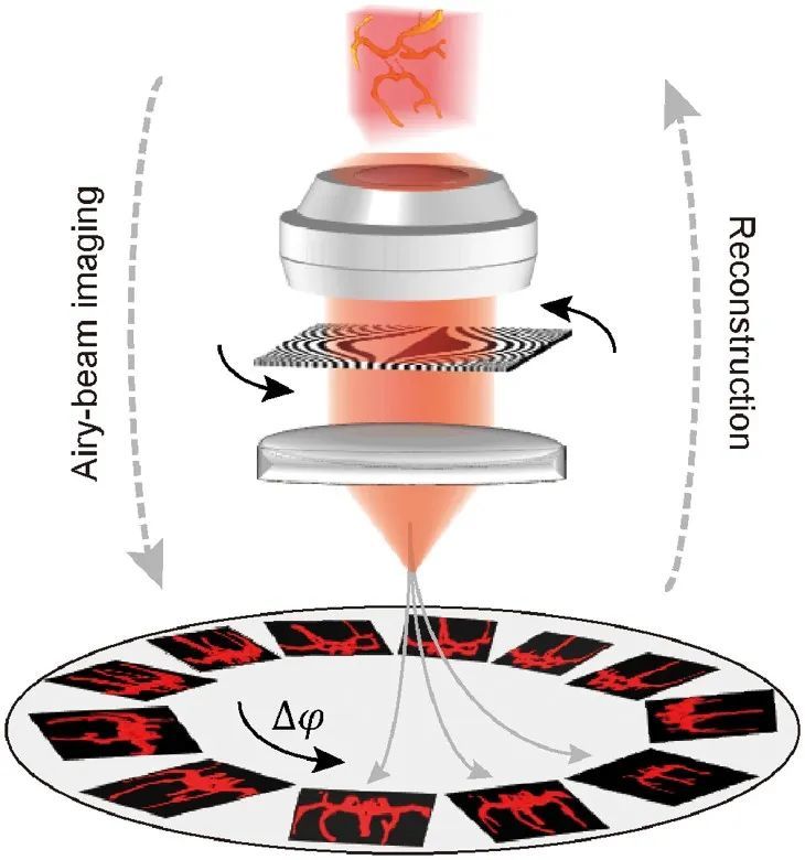 新冠病毒|北京应急响应级别调整至三级；研究首次证实蚊子不传播新冠病毒