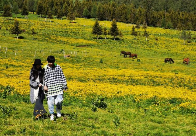 向佐|遭诋毁离婚，向佐：无论祝福，还是诋毁，衷心希望每个人幸福快乐