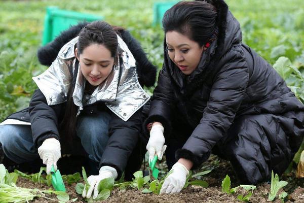 郭碧婷|郭碧婷凌晨三点为向佐庆生，力破婚变传闻，但一个表情显冷淡