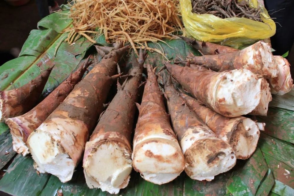 味精|鲜味、味精与鸡精，8条很多人误解的冷知识