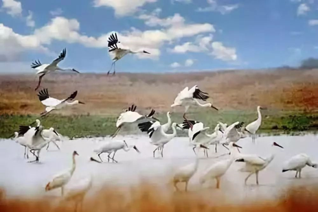 鄱阳湖|鄱阳湖是如何形成的