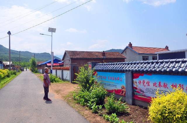 如今的海青村,村容村貌样样好.