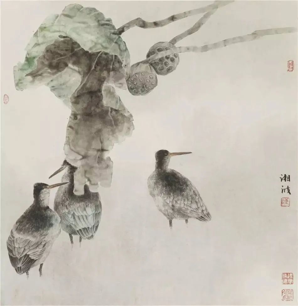 陈湘波工笔花鸟画虚渺飘无带来无尽遐想