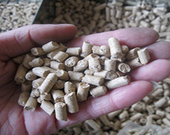 饲料|多雨天气，养猪场务必做好饲料的防霉、脱霉工作，保猪群健康！