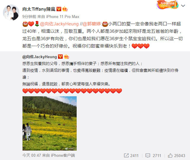 郭碧婷|向太官宣郭碧婷怀孕：你们也是如我们愿在36岁生个鼠宝宝给我们