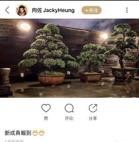 郭碧婷|恭喜！向太高调宣布郭碧婷已怀孕，可向佐的结婚证还没补上？