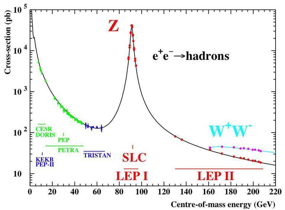 粒子|如果欧洲核子研究中心发现了一种新的粒子，这意味着什么呢？