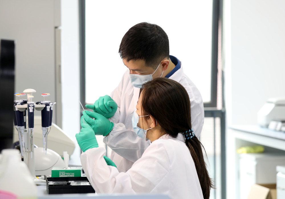 深圳先进技术研究院|防治毒品复吸新靶点：深圳先进院团队“擦除”小鼠成瘾记忆