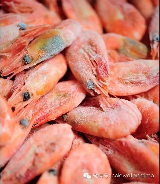 加拿大北极虾第二批核酸检测结果公布全部为阴性请放心食用