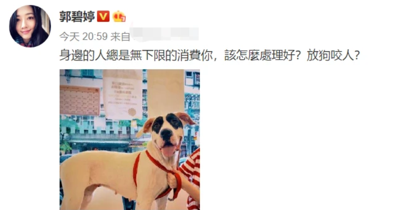 郭碧婷|向太假装用郭碧婷账号官宣怀孕，被郭碧婷粉丝骂惨：毫无底线向家人