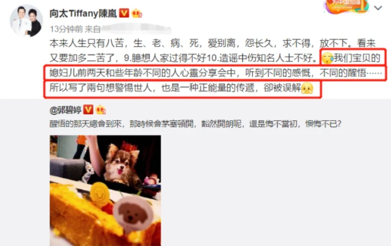 郭碧婷|向太假装用郭碧婷账号官宣怀孕，被郭碧婷粉丝骂惨：毫无底线向家人