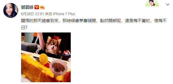 郭碧婷|郭碧婷怀孕终于官宣！向太很激动向佐很感恩，这个媳妇娶对了