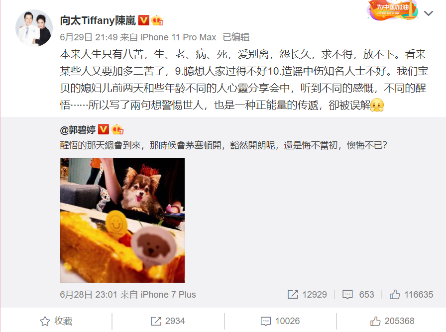 郭碧婷|郭碧婷怀孕终于官宣！向太很激动向佐很感恩，这个媳妇娶对了