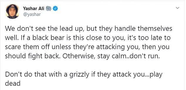 亚洲黑熊|路遇美女，墨西哥一头黑熊主动“搭讪”：我们来合个影！